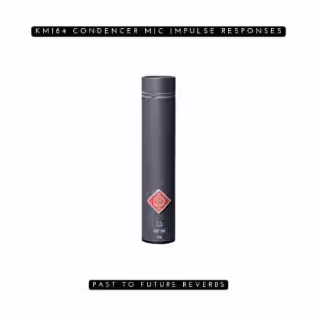 PastToFutureReverbs KM184 Condenser Mic IRS!