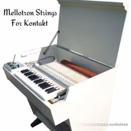 PastToFutureReverbs Mellotron Strings [KONTAKT]