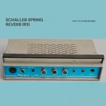 PastToFutureReverbs Schaller 60's German Spring Reverb IRs