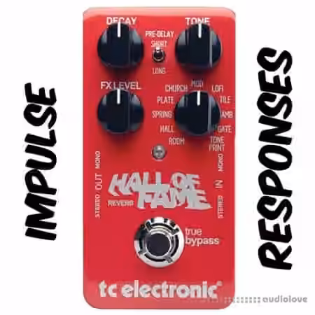 PastToFutureReverbs TC Hall Of Fame Reverb Pedal!