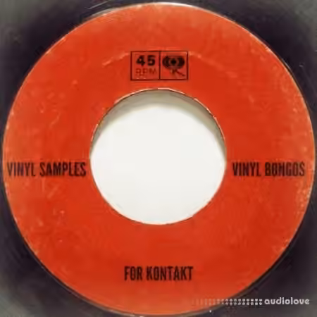 PastToFutureReverbs Vinyl Bongos [KONTAKT]
