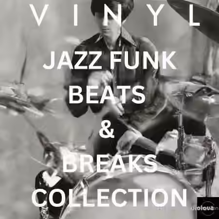 PastToFutureReverbs Vinyl Jazz Funk Beats And Breaks: Elevate Your Groove with 30 Royalty-Free Masterpieces! [WAV]