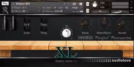 Perfect Kits Perfect Percussion XL [KONTAKT]