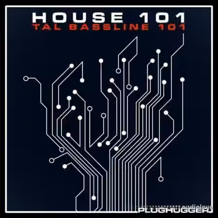 Plughugger TAL Bassline 101 House 101 [Synth Presets]
