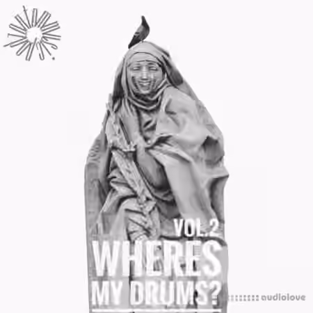 Podzontommusic Wheres my drums Vol.2 [WAV, Maschine]