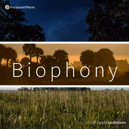 Pro Sound Effects Biophony [WAV]