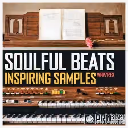 Pro Star Productions Soulful Beats Inspiring Samples [WAV]