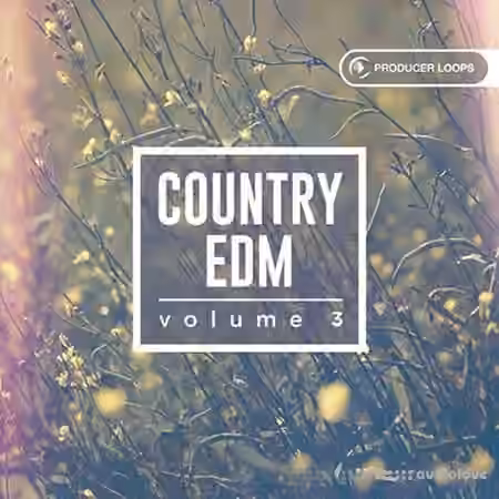 Producer Loops Country EDM Vol.3 [MULTiFORMAT]