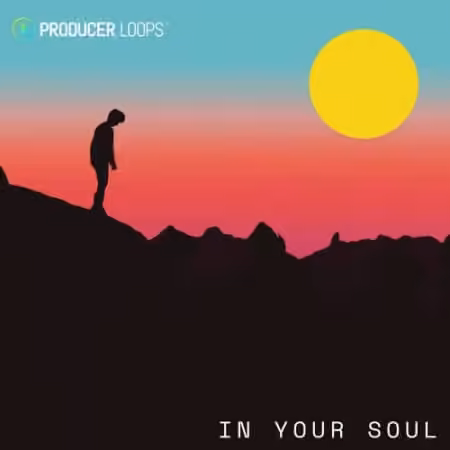 Producer Loops In Your Soul [MULTiFORMAT]