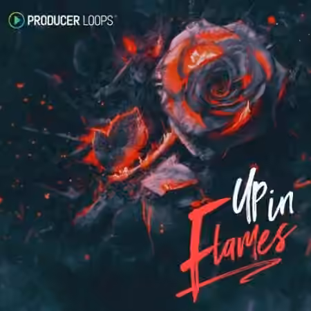 Producer Loops Up In Flames [MULTiFORMAT]