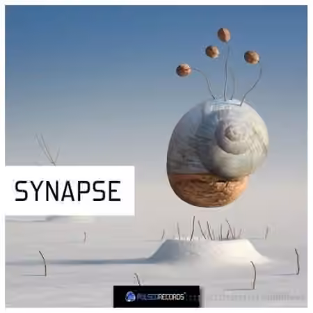 Pulsed Records Synapse [WAV]
