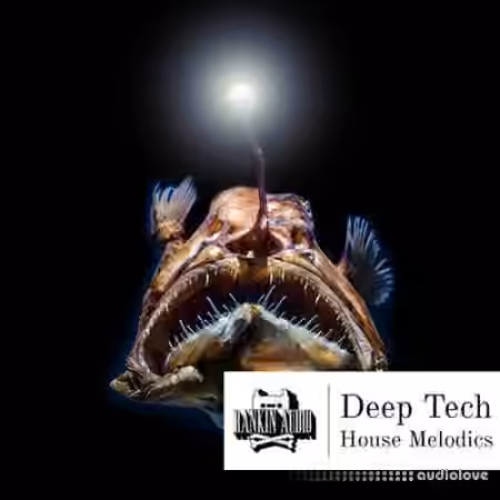 Rankin Audio Deep Tech House Melodics [WAV, MiDi]