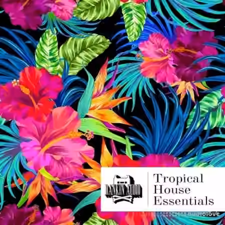Rankin Audio Tropical House Essentials [WAV]