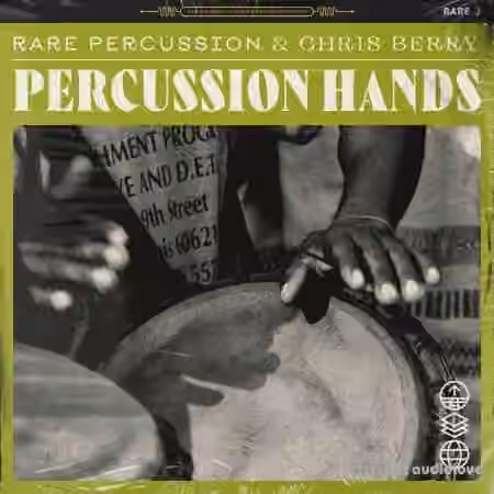 RARE Percussion Percussion Hands Vol.1 [WAV]