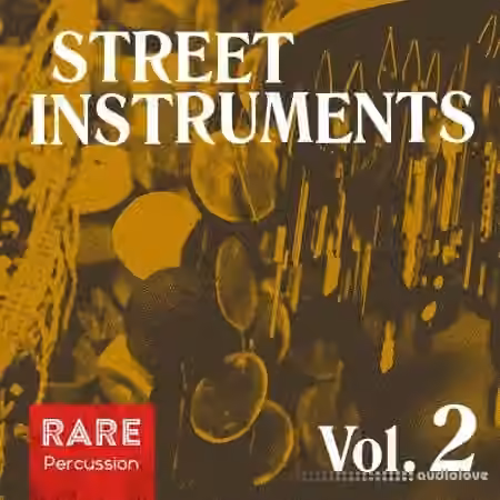RARE Percussion Street Instruments Vol.2 [WAV]
