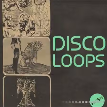 Raw Loops Disco Loops [WAV]