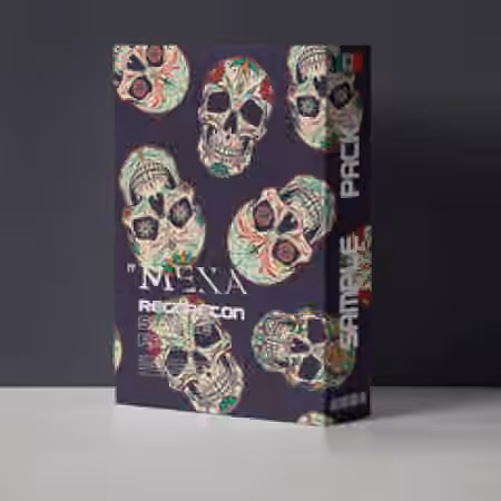 Reisse Mexapack vol. l [WAV, MiDi, Synth Presets]