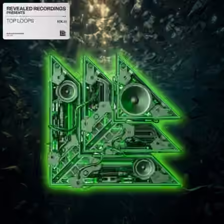 Revealed Recordings Revealed Top Loops Vol.13 [WAV]