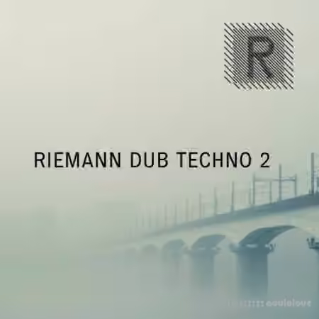 Riemann Kollektion Riemann Dub Techno 2 [WAV]