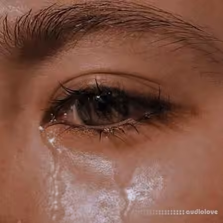 Robin Cause Melancholic Days [WAV]