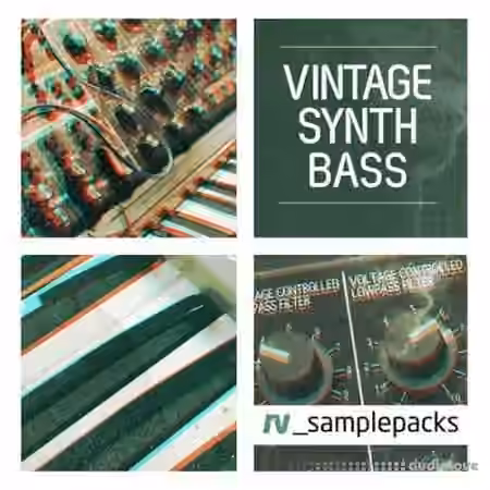 RV Samplepacks Vintage Synth Bass [WAV, MiDi, REX]