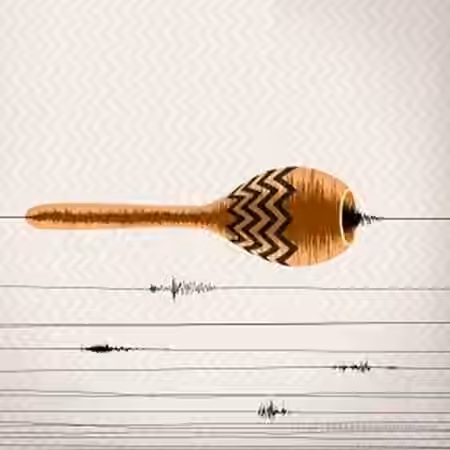 Samplephonics Electroacoustic Shaker Percussion [WAV, REX, AiFF]