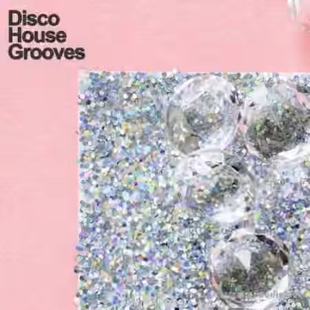 Samplestar Disco House Grooves [WAV, MiDi]