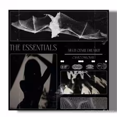 Sampleswave The Essentials Multigenre Drumkit [WAV]