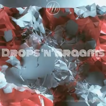 SampleTraxx DROPS n BRAAMS [WAV]