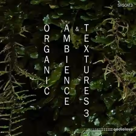 ShamanStems Organic Ambience and Textures 3 [WAV]
