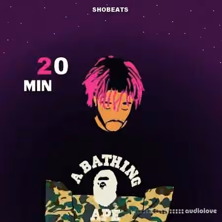 Shobeats 20 MIN [WAV, MiDi, Synth Presets]