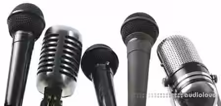 SkillShare Celebrity Level Voice Lessons 101 Beginner Level with Ashley Mandel [TUTORiAL]