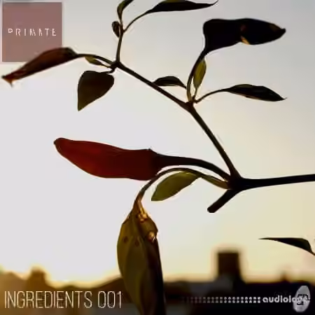 SmallPrint Ingredients 001 Primate [WAV]