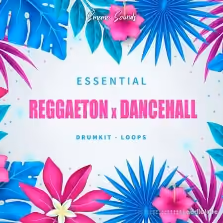 Smemo Sounds ESSENTIAL REGGAETON x DANCEHALL [WAV]