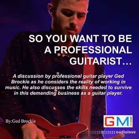 So You Want to Be a Professional Guitarist (Audiobook)