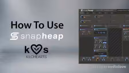 Sonic Academy How To Use Snap Heap with Dom Kane [TUTORiAL]