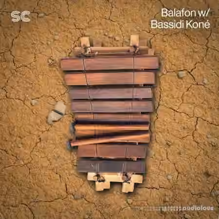 Sonic Collective Balafon w/ Bassidi Koné [WAV]