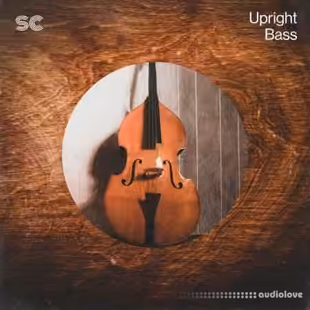 Sonic Collective Upright Bass [WAV]
