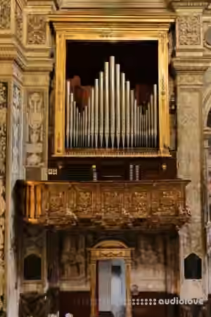 Sonus paradisi Piacenza Organo di Padre Davide [Hauptwerk]