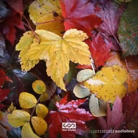 Soul Surplus Autumn Bliss [WAV]