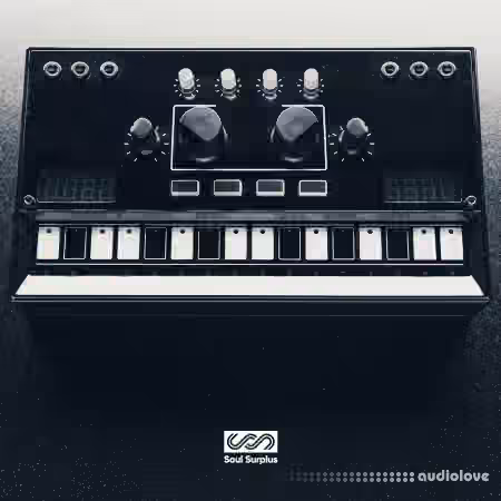 Soul Surplus Black Box [WAV]