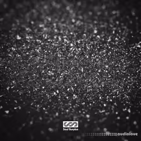 Soul Surplus Jet Black Neo Soul [WAV]