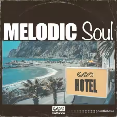 Soul Surplus Melodic Soul [WAV, Synth Presets]