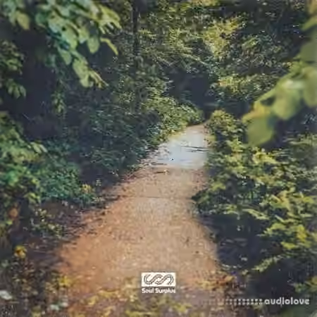 Soul Surplus Oak Lane [WAV]