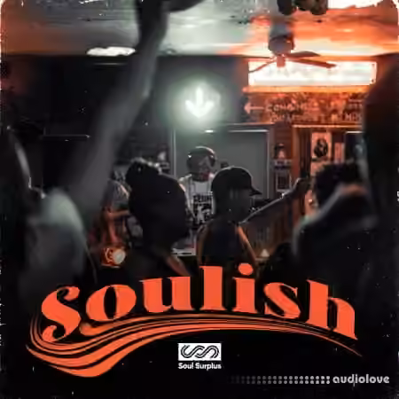 Soul Surplus Soulish the House Party [WAV]