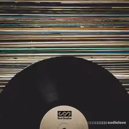 Soul Surplus Vinyl Melodics [WAV]