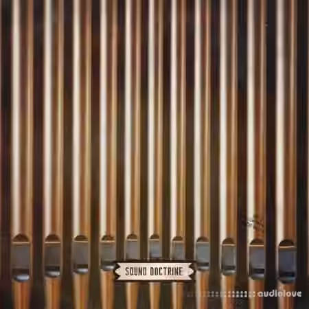 Sound Doctrine Vital Organs Volume 1 [WAV]