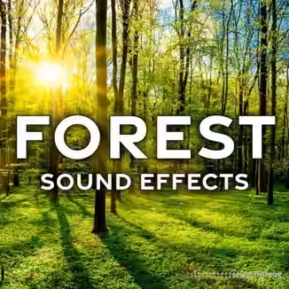 Sound Ideas Forest Sound Effects [FLAC]