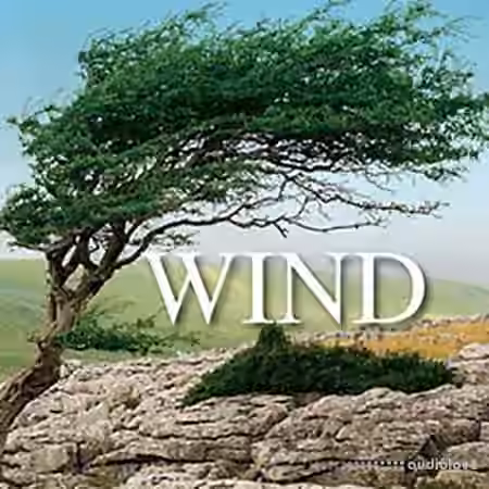 Sound Ideas Wind [WAV]