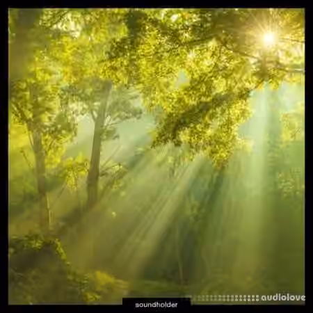 Soundholder Summer Ambients [WAV]